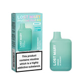 Blueberry Lost Mary 600 Prefilled Pod Vape Kit - Ape Vapes 
